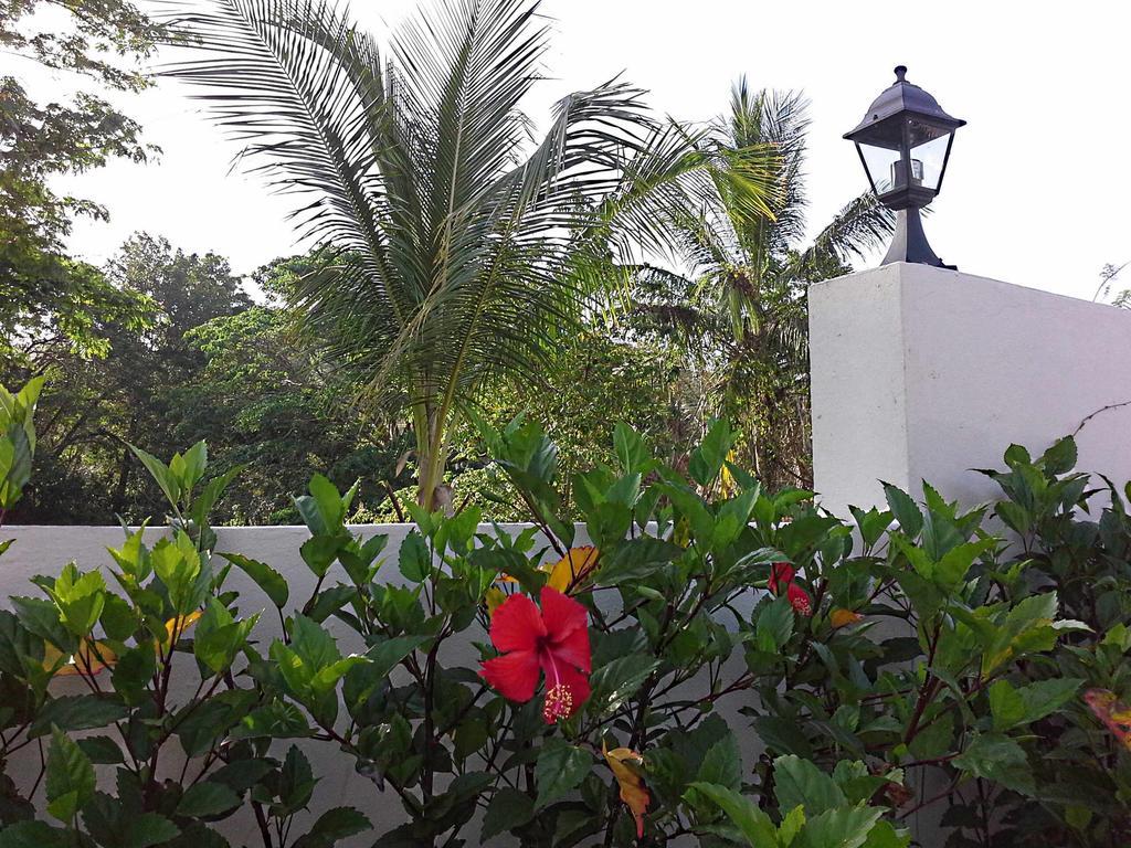 La Casa De Sergio Y Cristina Las Terrenas Luaran gambar