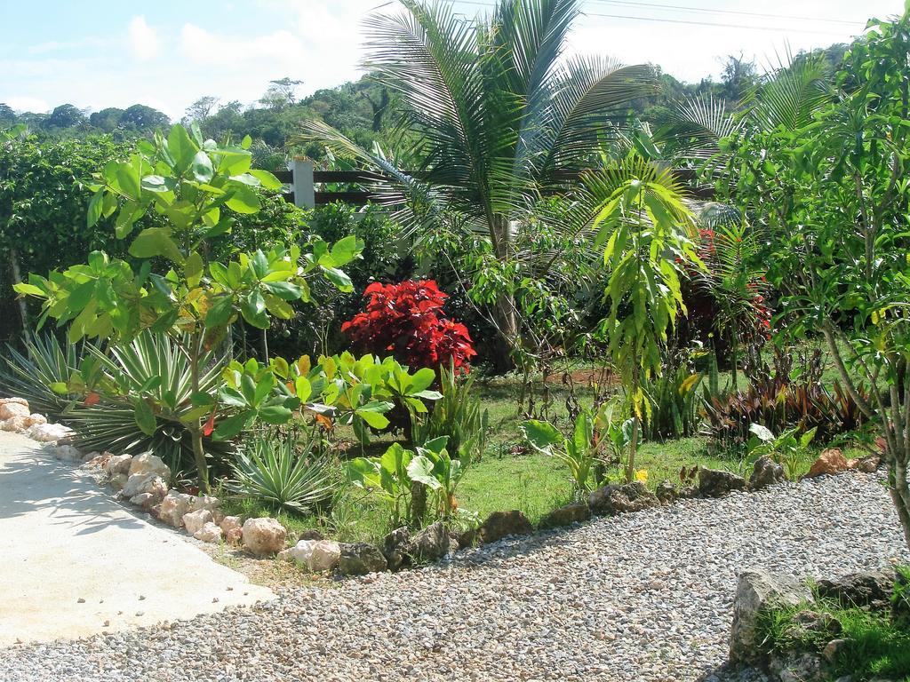 La Casa De Sergio Y Cristina Las Terrenas Luaran gambar
